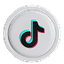 TikTok SMM Panel